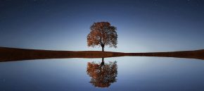mindful-journey