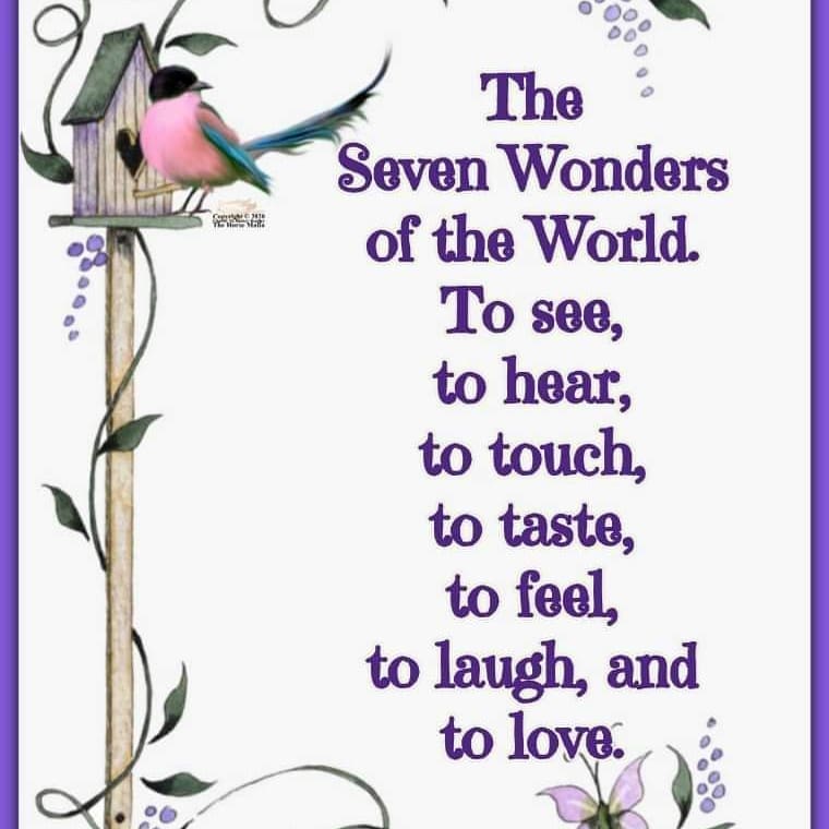 Have a lovely weekend using your 7 wonders.  #see #hear #touch #taste #feel #laugh #love